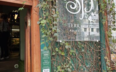 ATELIER JARDIM TERRARIOS SP