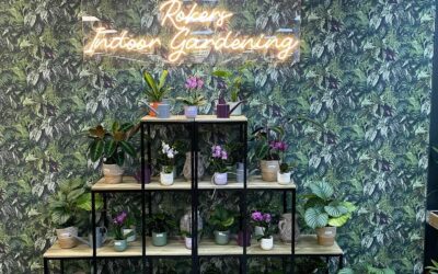 TENDENCIA – LOJA MINI GARDEN