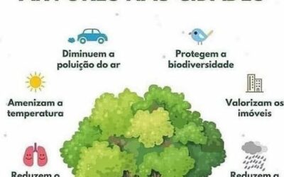 BENEFICIOS DAS ARVORES