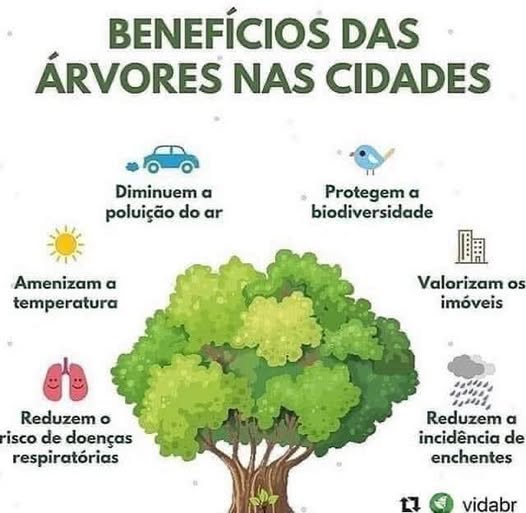 BENEFICIOS DAS ARVORES