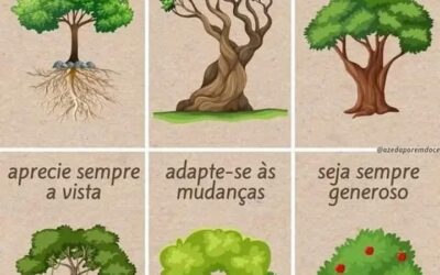 APRENDA SOBRE A VIDA COM AS ARVORES