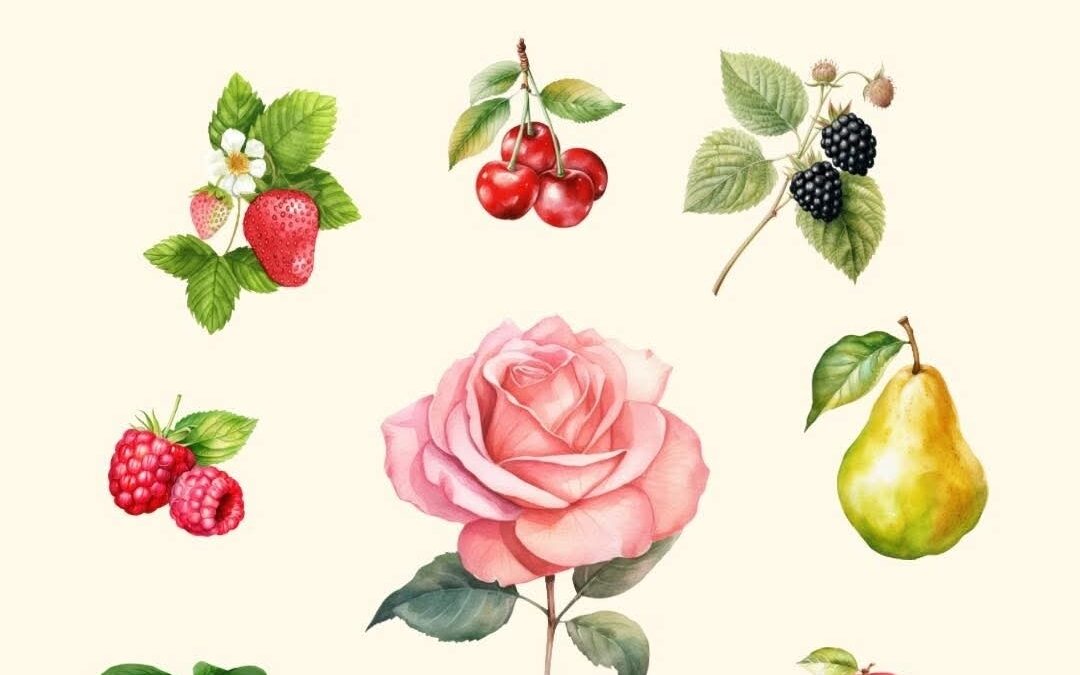 VOCE CONHECE AS PARENTES DA ROSA?