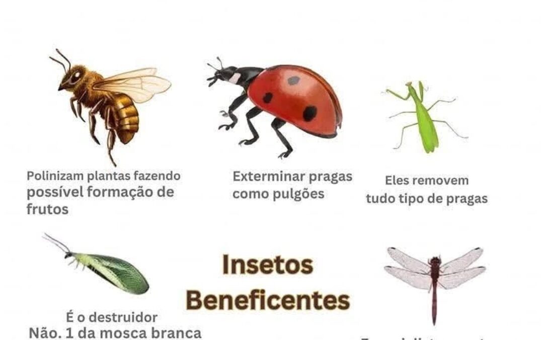 VOCE SABIA?