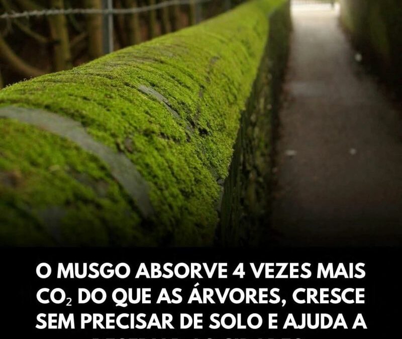 VOCE SABIA?