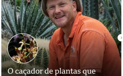 O CACADOR DE ORQUIDEAS…
