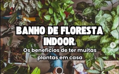TENDENCIA – BANHO DE FLORESTA IN DOOR