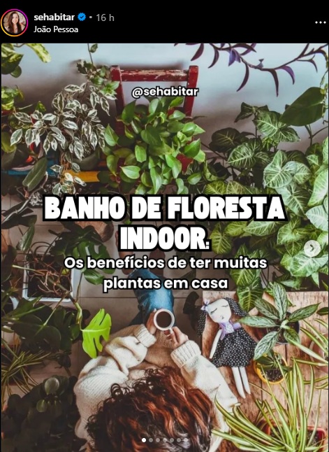 TENDENCIA – BANH DE FLORESTA IN DOOR