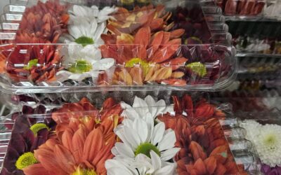 FLORES COMESTIVEIS